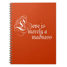 L'amour est simplement une folie carnets