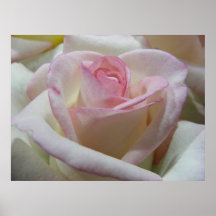 L'amour sensible s'est levé affiches
