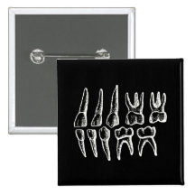 L'anatomie du gris - dents pin's avec agrafe