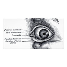 L'anatomie du gris - globe oculaire cartes de vœux avec photo