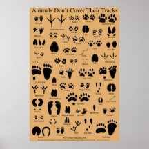 L'animal dépiste l'affiche