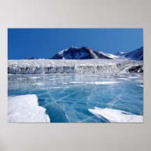 L'Antarctique Affiches