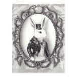 Lapin blanc - carte postale