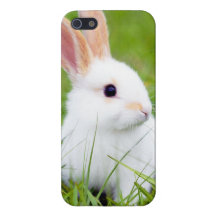 Lapin blanc coque iPhone 5