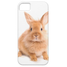 Lapin Coque iPhone 5 Case-Mate