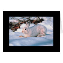 Lapin de blanc de carte de vacances de Personaliza