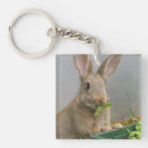 Lapin de lapin Keychain