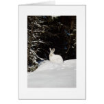 Lapin sauvage fait sur commande de carte de voeux 
