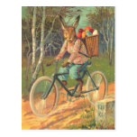 Lapin sur sa bicyclette livrant des oeufs ! carte postale