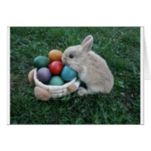 LAPIN v.1 de HIP HOP Carte De Vœux