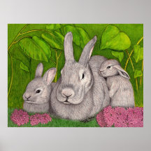Lapins Poster