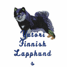 Lapphund - Yutori finlandais