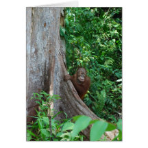 L'arbre original Hugger de la nature dans la forêt Cartes
