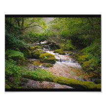 Larmes de nature photo