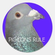 L'arrière - plan bleu principal de pigeon d'emball autocollant