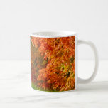 L'art attaque le feuillage d'automne tasses