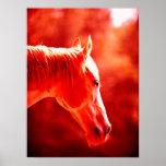 L'art de bruit de tête de cheval imprime des affic