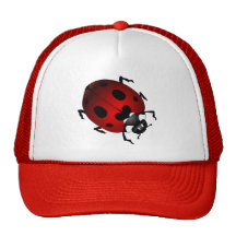 L'art de coccinelle couvre le chapeau d'art de fau casquette