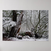 L'art de l'hiver posters