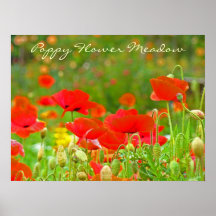 L'art de pré de fleur de pavot imprime les pavots  posters