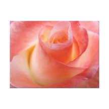 L'art de toile de rose de rose imprime floral toile tendue sur châssis