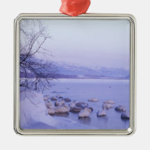 L'Asie, Japon, Hokkaido, Akan NP, cygnes de gros m Ornements De Noël