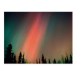 L'aurore Borealis, lumières du nord, Alaska Carte Postale