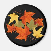 L'automne colore l'aimant