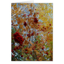 L'automne colore le carte pour notes - 1