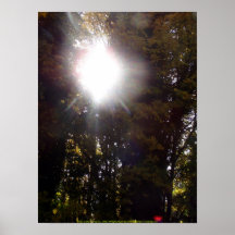 L'automne Sun rayonne #1 Affiches