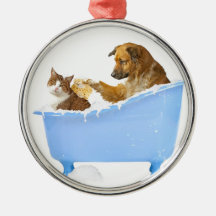 Lavage de chat ornement