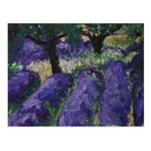 lavande de 0063 le champ de cartes postales
