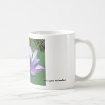 Lavande Lotus aux jardins aquatiques de Kenilworth Tasse