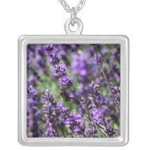 Lavendar met en place le collier