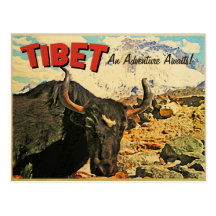 L'aventure du Thibet attend le boeuf Cartes Postales