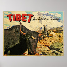 L'aventure du Thibet attend le boeuf Poster