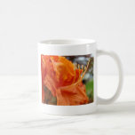 L'AZALÉE FLEURIT 6 tasses oranges de cadeaux de ca