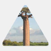 Le baobab Madagascar de Grandidier Autocollants