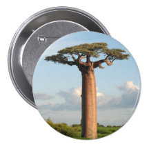 Le baobab Madagascar de Grandidier Pin's Avec Agrafe