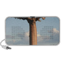 Le baobab Madagascar de Grandidier Haut-parleurs PC
