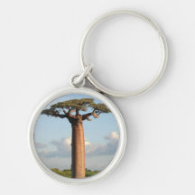 Le baobab Madagascar de Grandidier Porte-clef