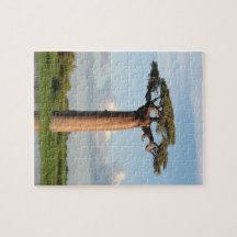 Le baobab Madagascar de Grandidier Puzzles Avec Photo