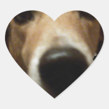 Le beagle poursuit la règle la planète - parce que adhésifs