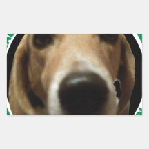Le beagle poursuit la règle la planète - parce que autocollants en rectangle