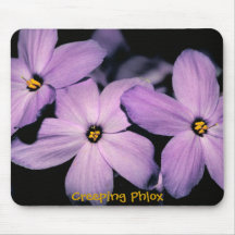 Le beau Phlox de rampement fleurit Mousepad Tapis De Souris