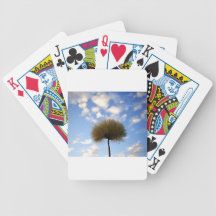 Le bel art de conception fleurit la couleur floral cartes à jouer