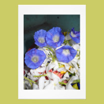 Le bleu fleurit la gloire de la nature invitations