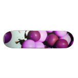 Le bleu monte en ballon le groupe d'air chaud skateboards personnalisés