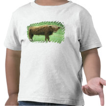 Le boeuf des montagnes, île de chauffent, intérieu t-shirts