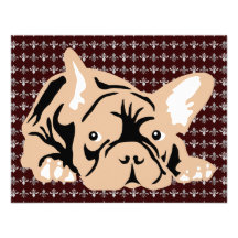Le bouledogue français s'est levé faire-parts